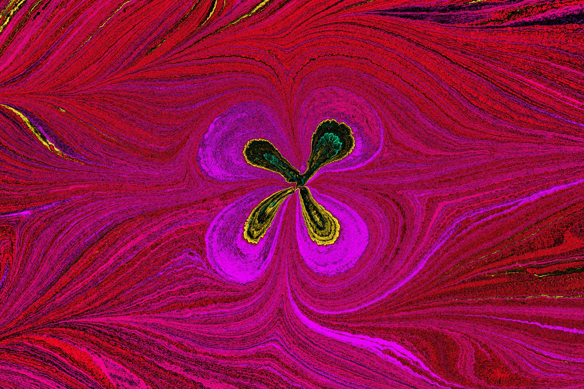 Clara C Peña (She/her)